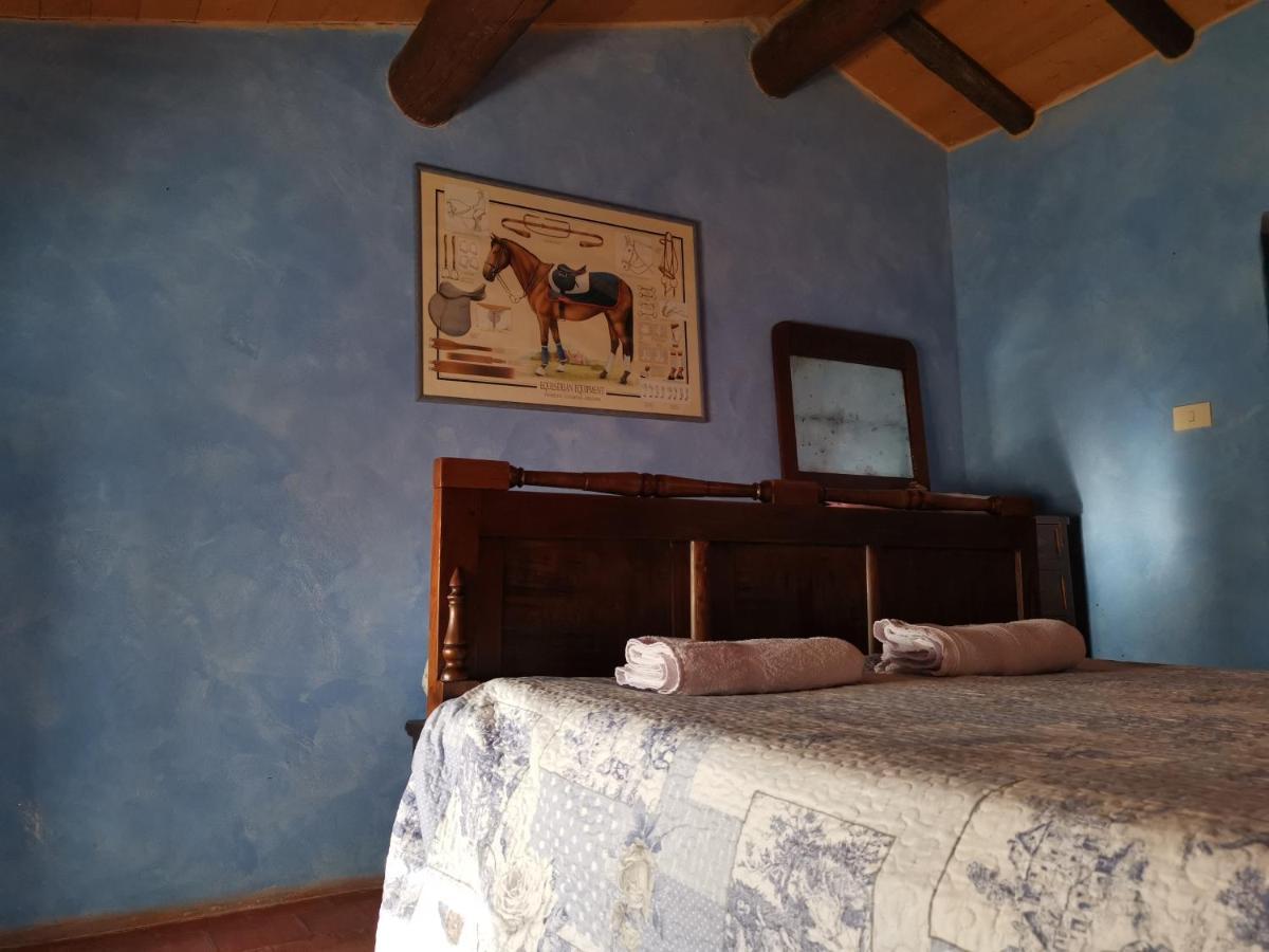 Daina Bianca Bed & Breakfast Solignano ภายนอก รูปภาพ
